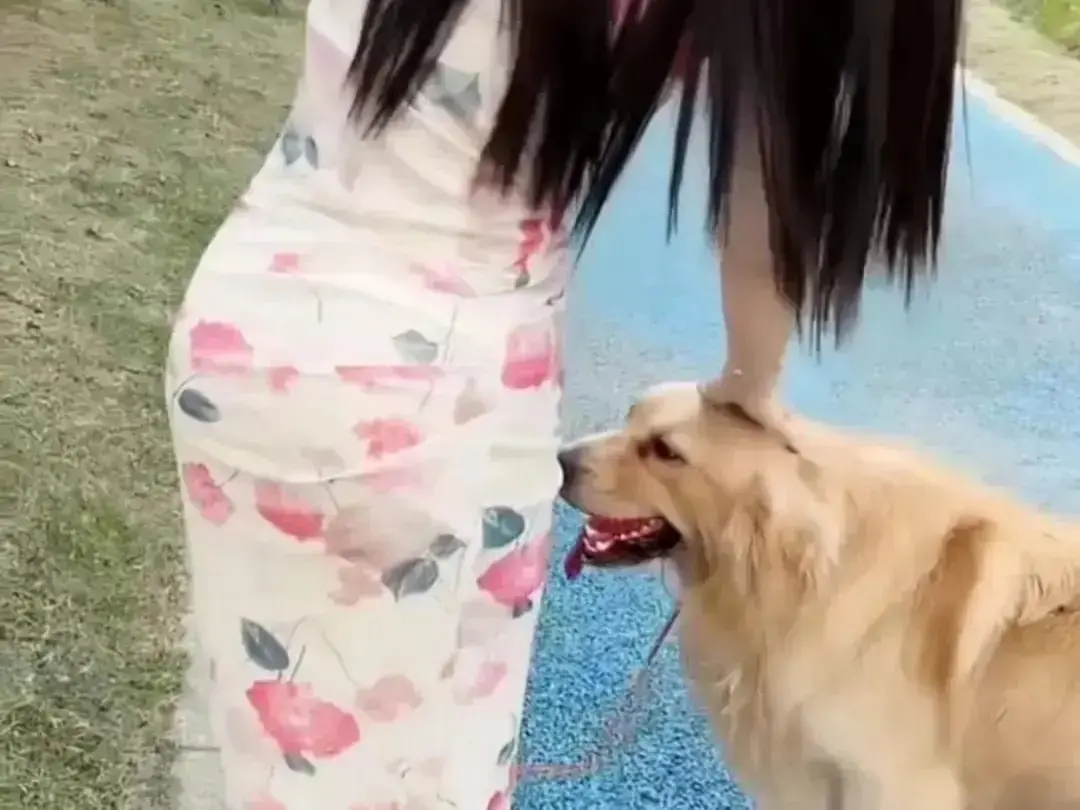 《抖音香香公主与爱犬金毛》高能日常互动完整版在线观看-香香公主与爱犬金毛直播回放无广告网盘资源免费秒播-《抖音香香公主与爱犬金毛》高清免费观看