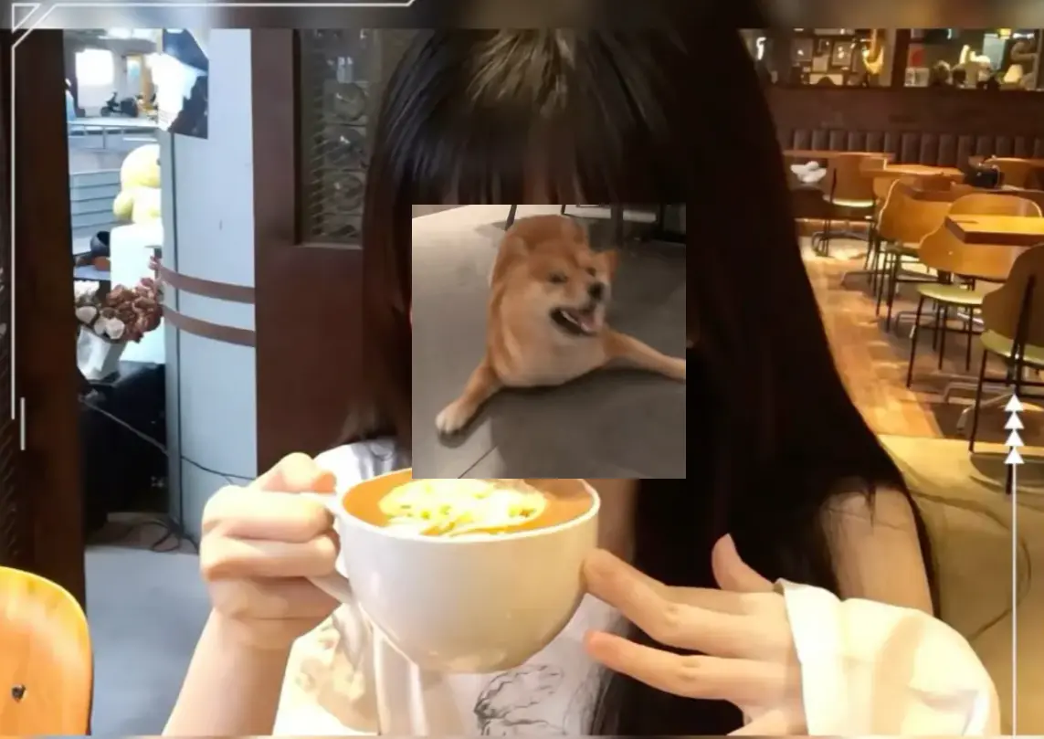 资源图片