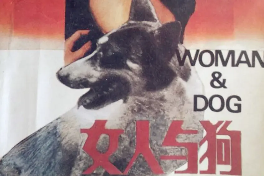 《女人与狗俄罗斯电影》HD1080P高清播放-《女人与狗》完整版无删减-全网同步更新免费观看