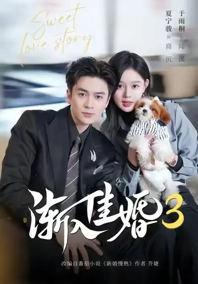 《渐入佳婚3》全集免费在线观看高清版-无广告观看《渐入佳婚3》全集-河马短剧1080P超清播放