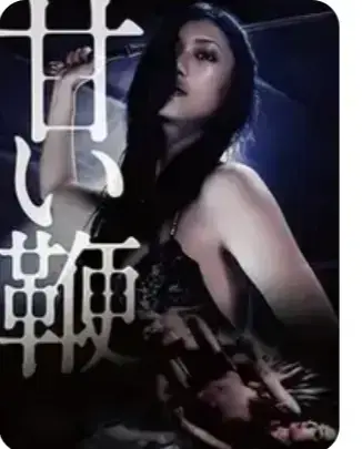 《甜蜜皮鞭》未删减全集在线看-1080P高清中字资源-免费观看甜蜜皮鞭完整版
