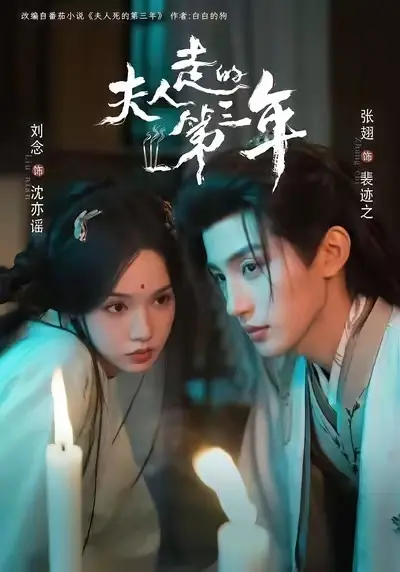 《夫人走的第三年》全集高清播放无删减版-《夫人走的第三年》未删减免费看完整版-1080P画质在线