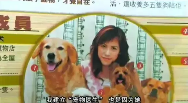 《女人与狗》未删减版全集播放-欧美大片女人与狗高清中字正片-免费在线观看1080P超清-支持网盘下载流畅观影