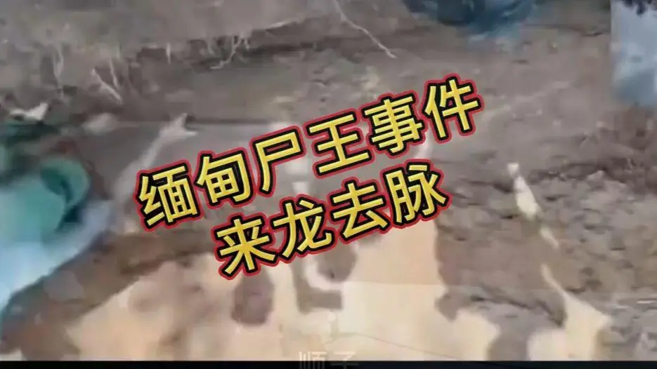 《缅甸僵尸出土事件视频》完整版在线观看-免费播放高清下载-全程录像无删减